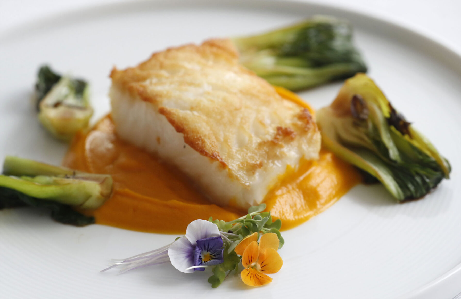 Seabass with carrot-ginger puree at Harvest in Medina